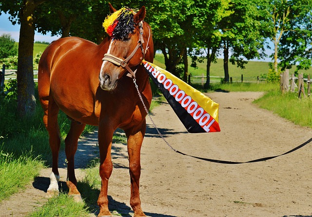 地澄清误解 地澄清误解