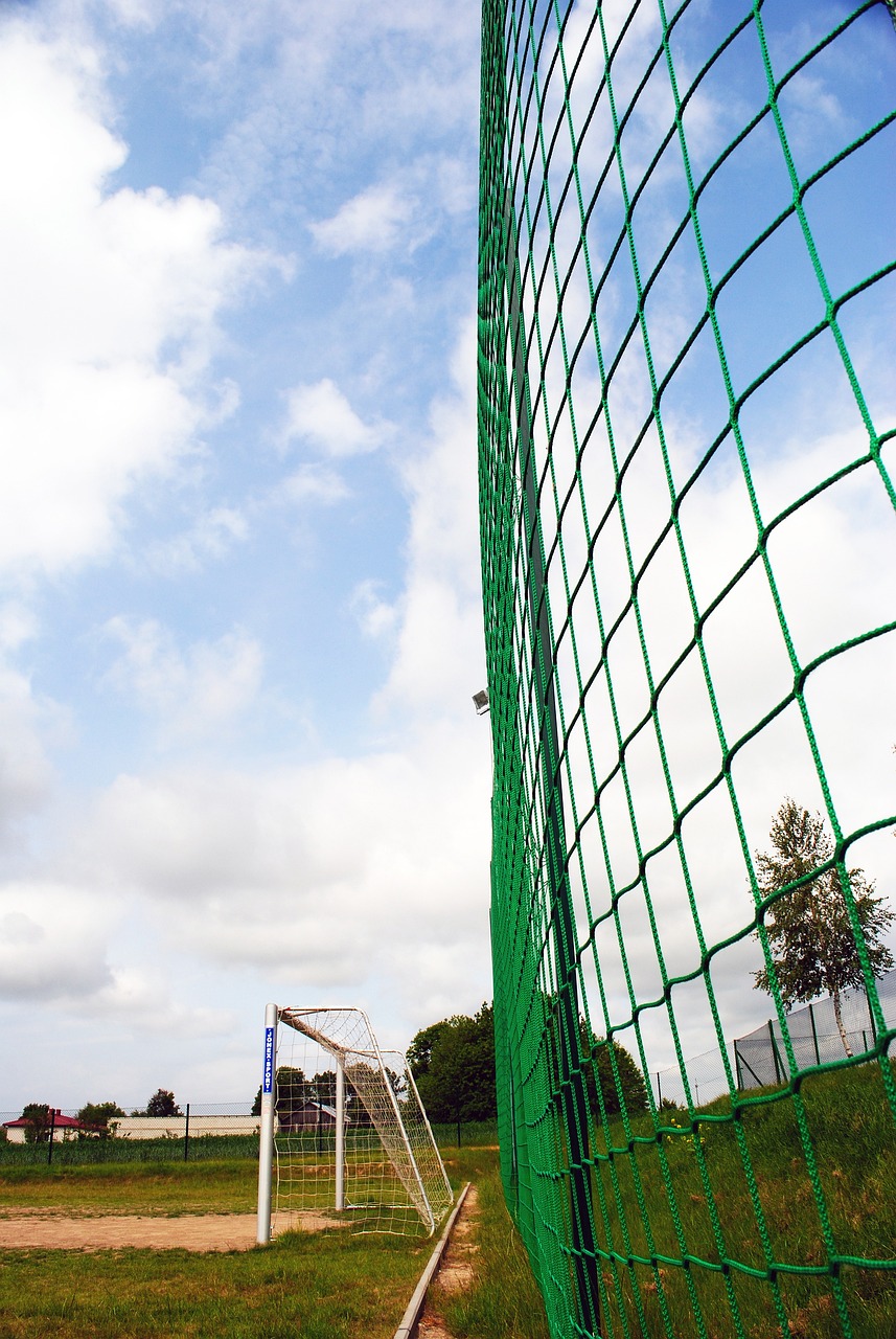 他不断完善 他不断完善