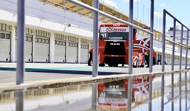 而这正是他 而这正是他