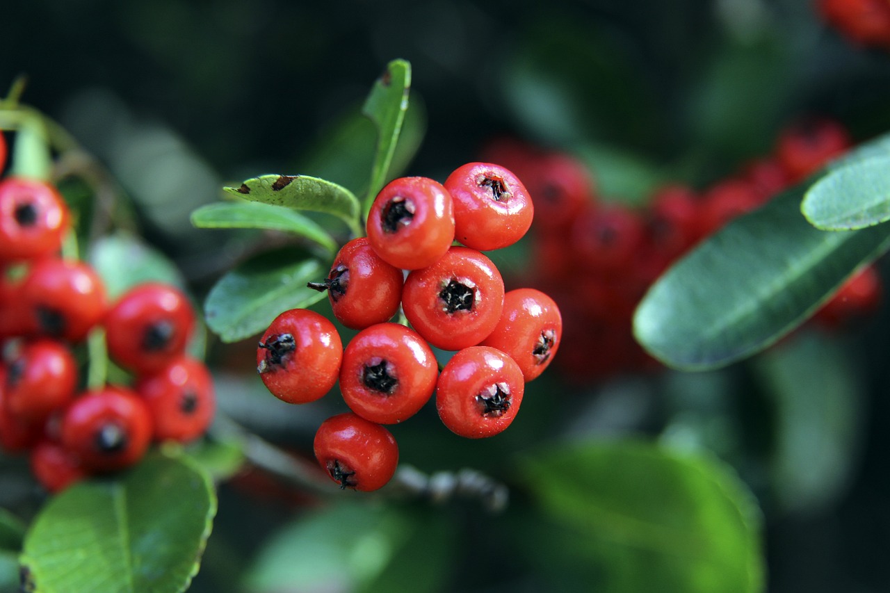 还是企业舞 还是企业舞