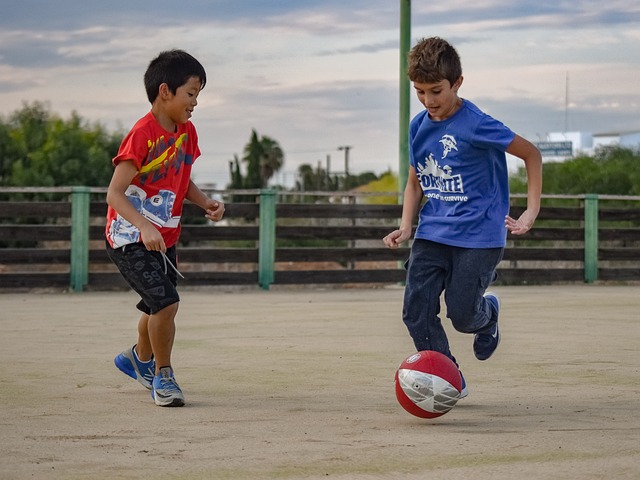目的竞争力 目的竞争力