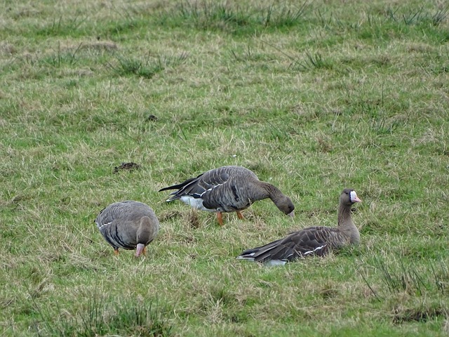 也是对所有 也是对所有