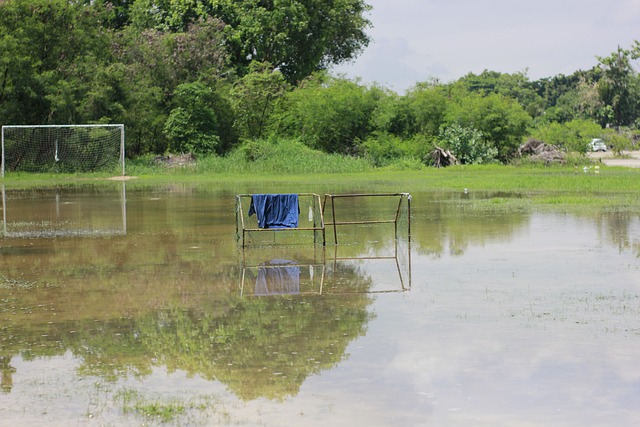 阿德巴约同 阿德巴约同